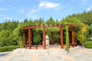 龙泉公墓