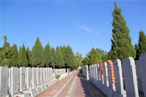 墓区(1)