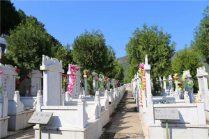 环境(6)