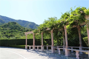 环境(2)