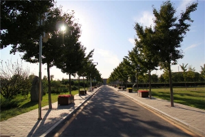 道路(1)