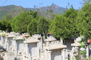环境(5)