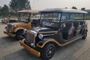 摆渡车