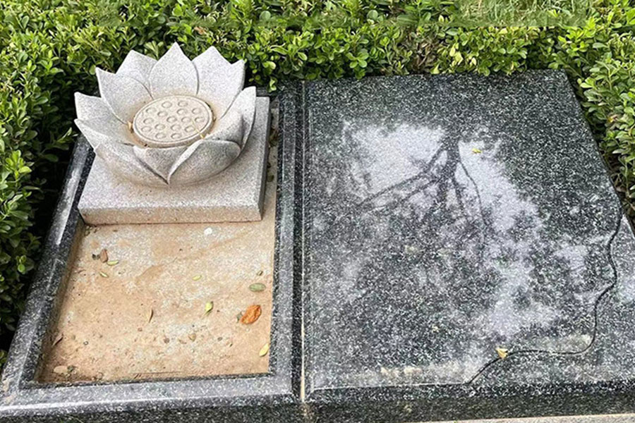 九公山长城纪念林