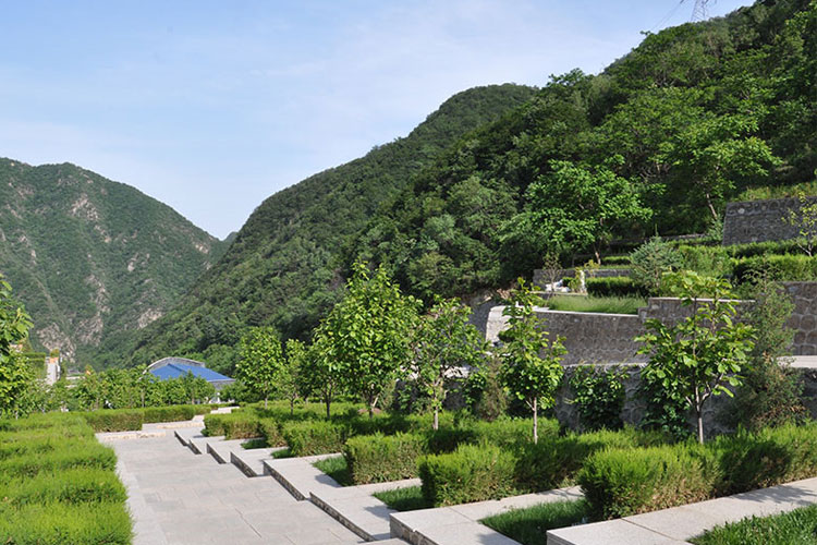 九公山长城纪念林