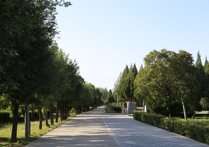 太子峪陵园环境