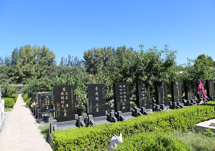 北京西边墓地全攻略：地址、价格与环境对比一览