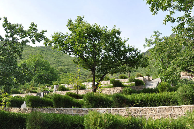 九公山长城纪念林墓地环境
