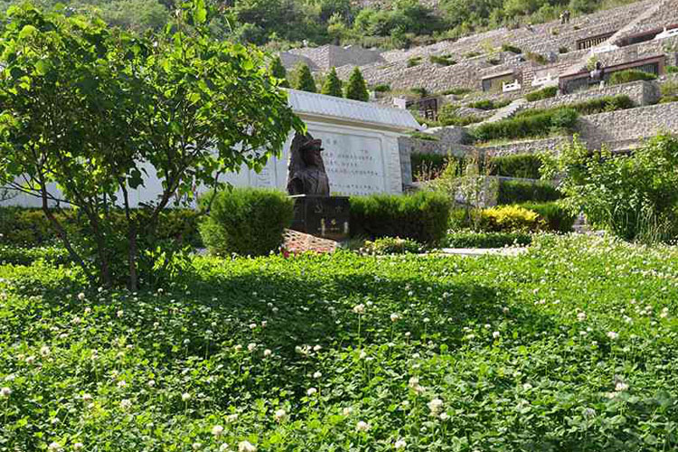 九公山长城纪念林