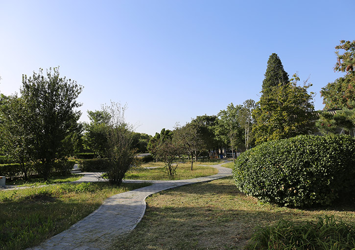 环境